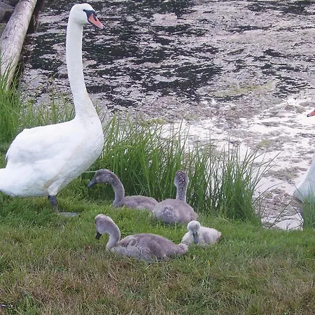 4 Bedroom Beautiful In Lindesnes Lonestranda